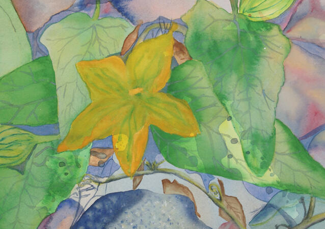 Water color painting of a yellow gourd flower against green leaves and gray rocks.