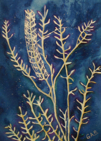 Water color painting of mustard plant (white) against a blue galaxy sky color.